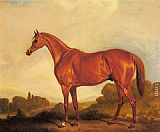 Cup Wall Art - A Portrait of the Racehorse Harkaway, the Winner of the 1838 Goodwood Cup